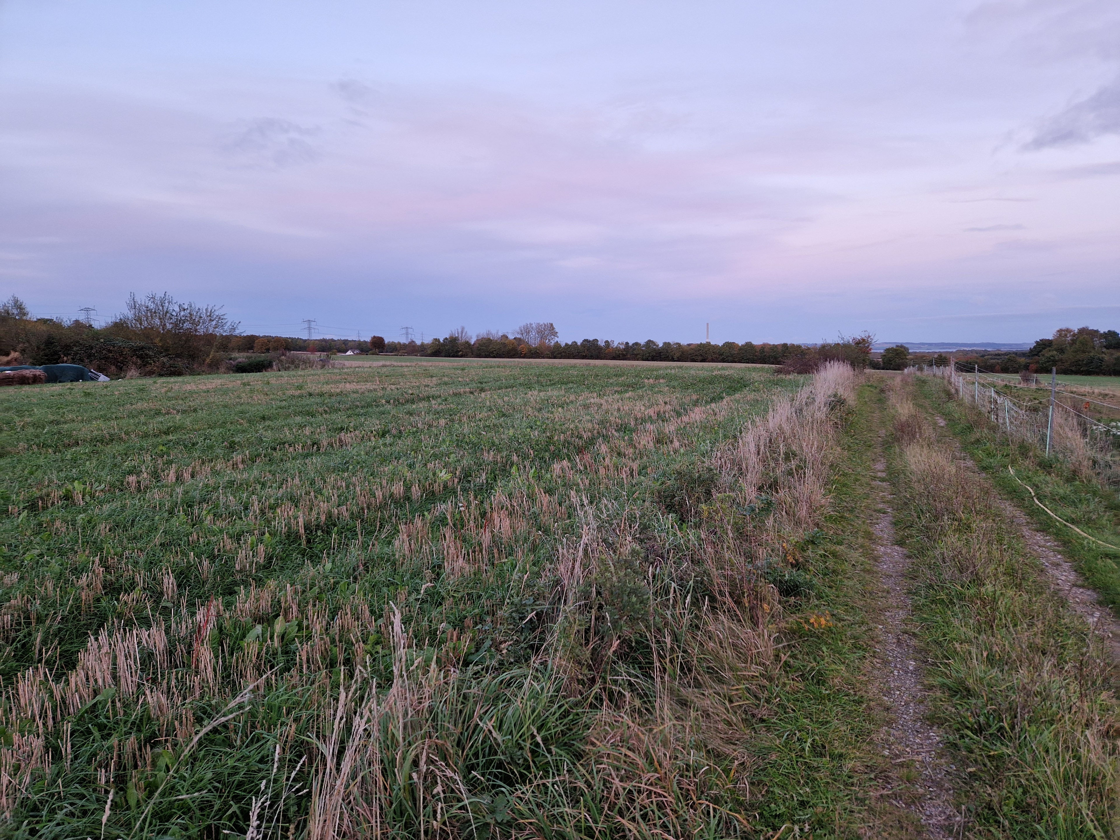 Kold fjernvarme kan forsynes med jordvarme med slager nedgravet i en mark som denne. Foto: VedvarendeEnergi